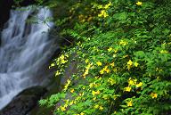 f0015391_0133136.jpg