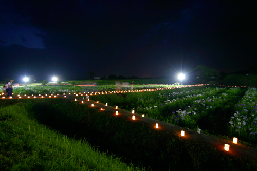 b0072697_23124524.jpg