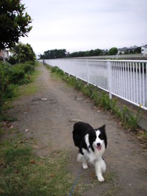 f0034602_2052693.jpg