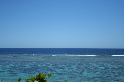 a0024504_2162333.jpg