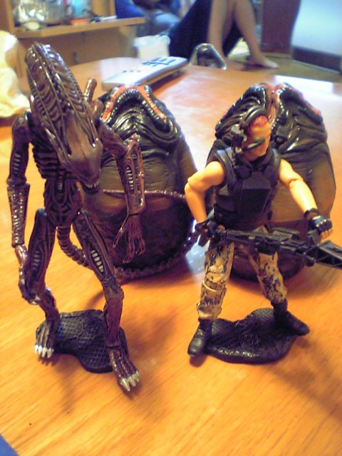 b0004504_20365971.jpg