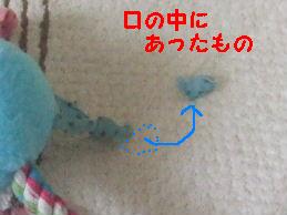 a0007906_8564049.jpg