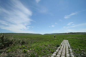 a0059206_16275377.jpg