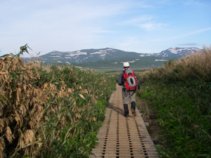 a0059206_16282457.jpg