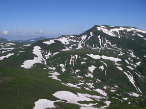 a0059206_16285271.jpg