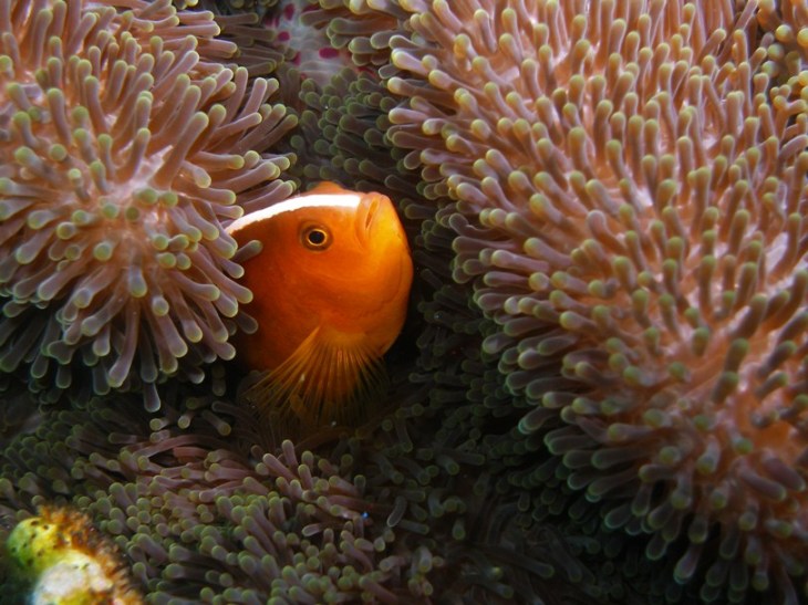 a0082706_254655.jpg