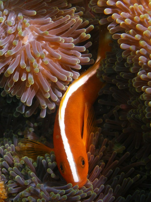 a0082706_2584226.jpg