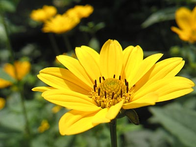 a0041508_23314455.jpg