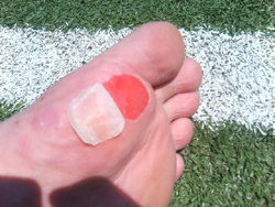 e0063609_20391967.jpg