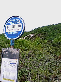 f0090009_75254.jpg