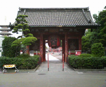 a0077616_9584119.jpg