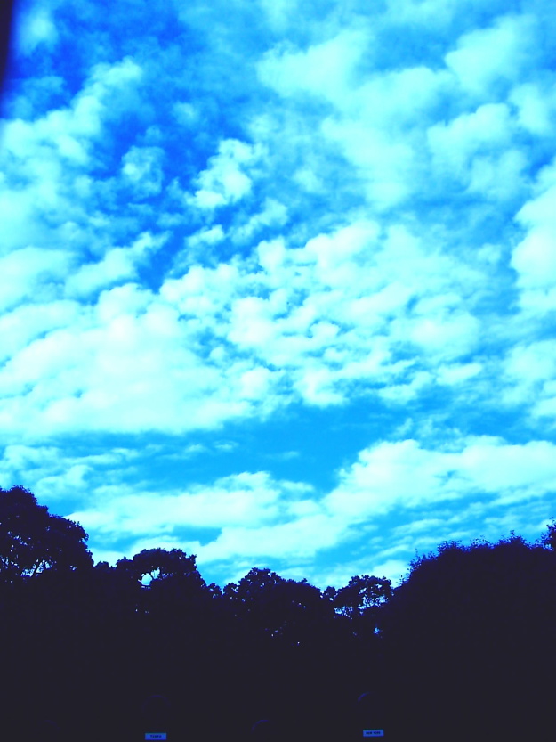 b0091225_14643100.jpg