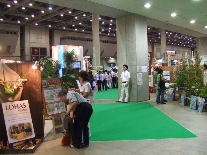 d0004728_6123080.jpg