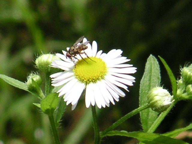 a0020929_22163510.jpg