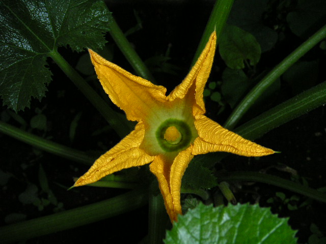 a0020929_9193386.jpg