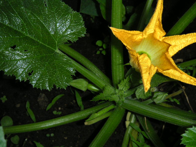 a0020929_921581.jpg