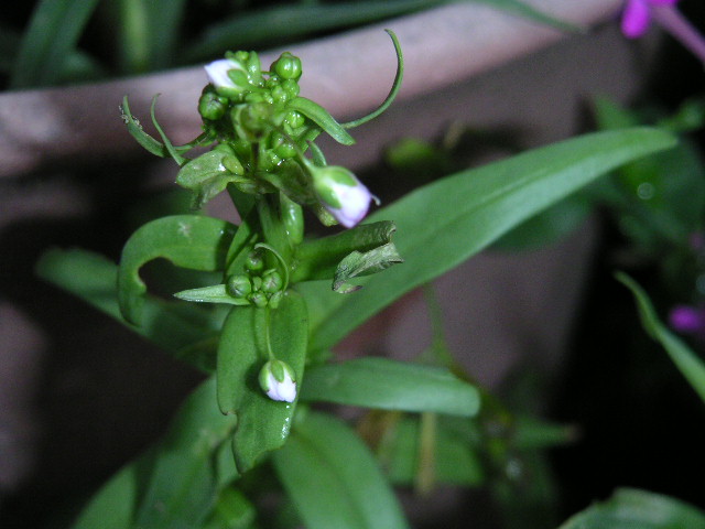 a0020929_9245055.jpg