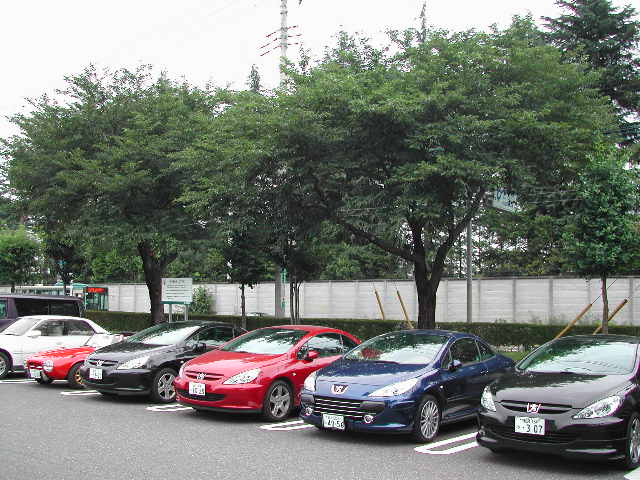 e0065830_2318897.jpg