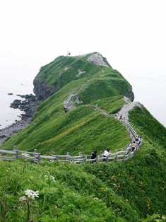 b0085331_12594479.jpg
