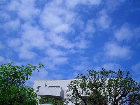 a0072737_16431069.jpg