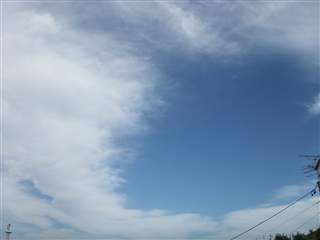 b0102639_17341885.jpg