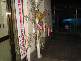 a0048040_9444676.jpg
