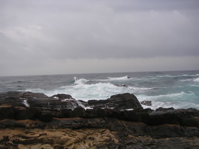 e0018843_22133894.jpg
