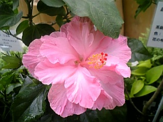 f0053847_214745.jpg
