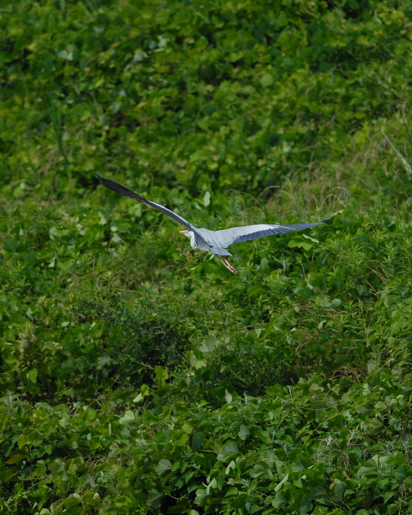 f0049152_21185965.jpg