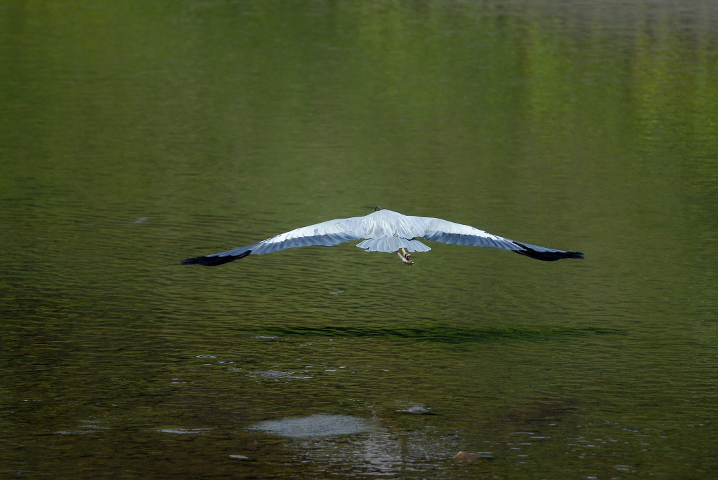 f0049152_2118634.jpg