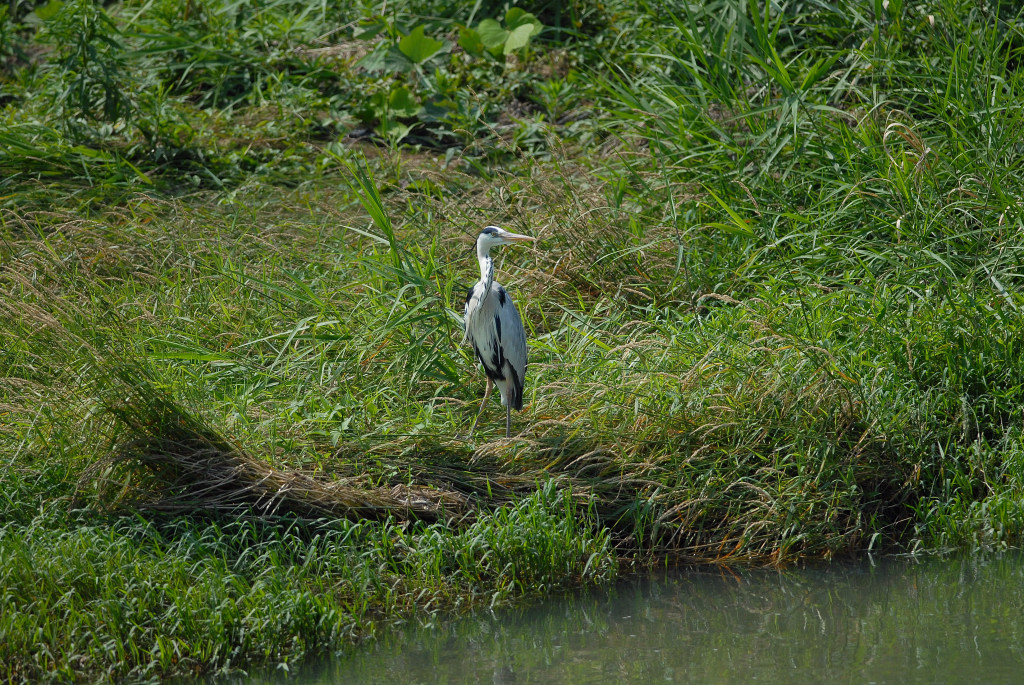 f0049152_2165569.jpg