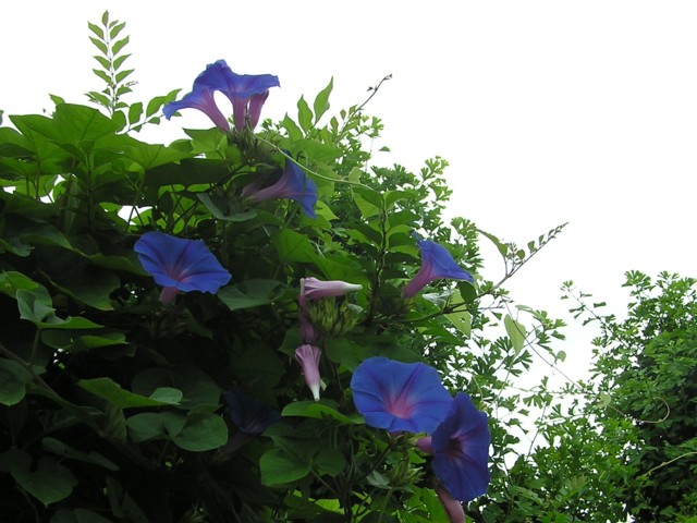 a0052156_2215863.jpg