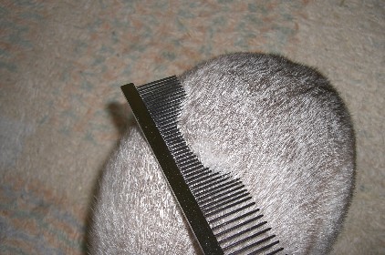f0104057_21503895.jpg