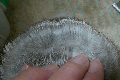 f0104057_21564994.jpg