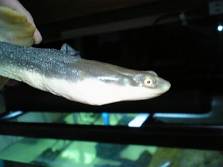 f0009758_11141619.jpg