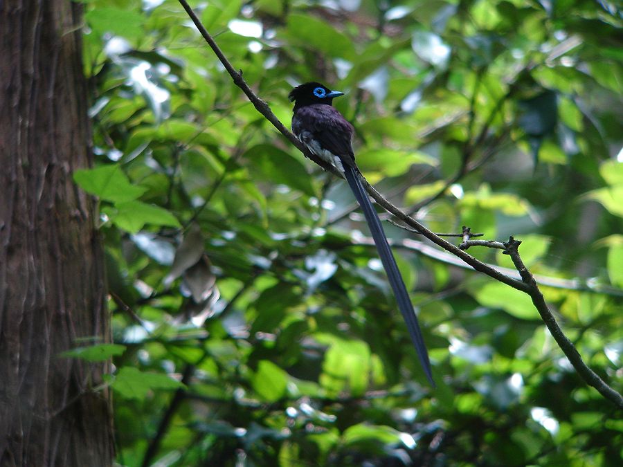 f0103860_14131395.jpg