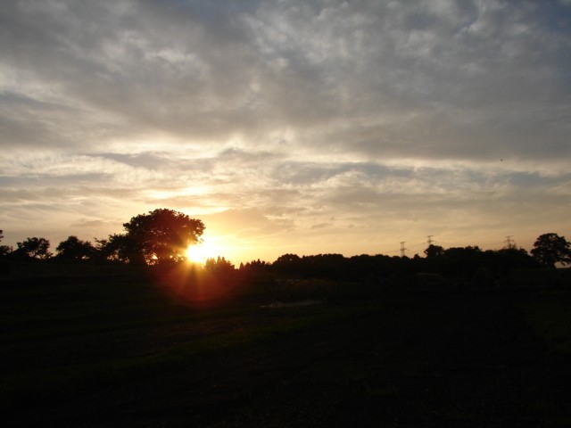 b0061261_21454727.jpg