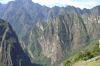 f0059671_1152757.jpg