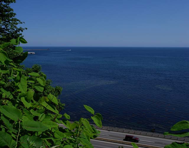 a0016775_229954.jpg