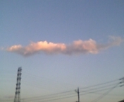 f0098680_1825138.jpg