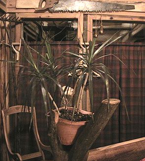 c0016987_0275759.jpg