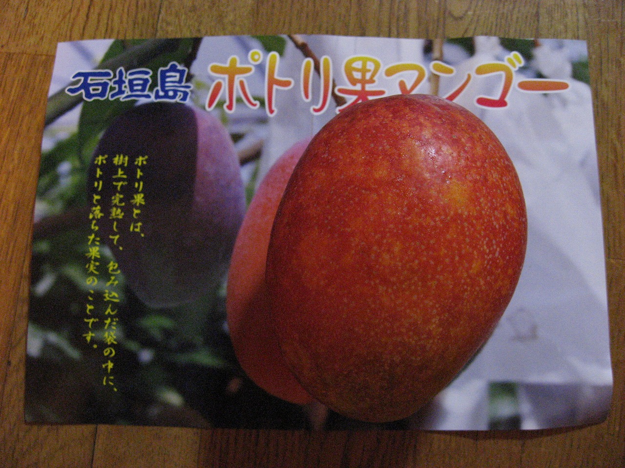 a0023189_22401311.jpg