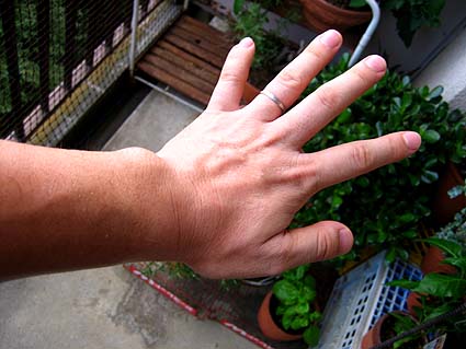 c0004193_23383075.jpg