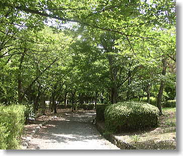 f0082396_21211174.jpg