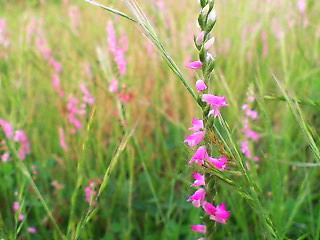 e0083097_20334882.jpg