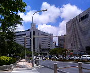 a0006100_1432474.jpg