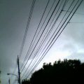 e0082908_230588.jpg