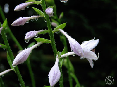 e0021328_23313793.jpg