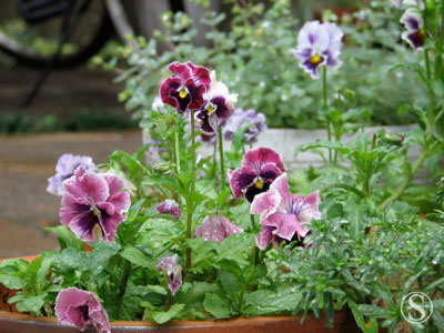 e0021328_2332687.jpg