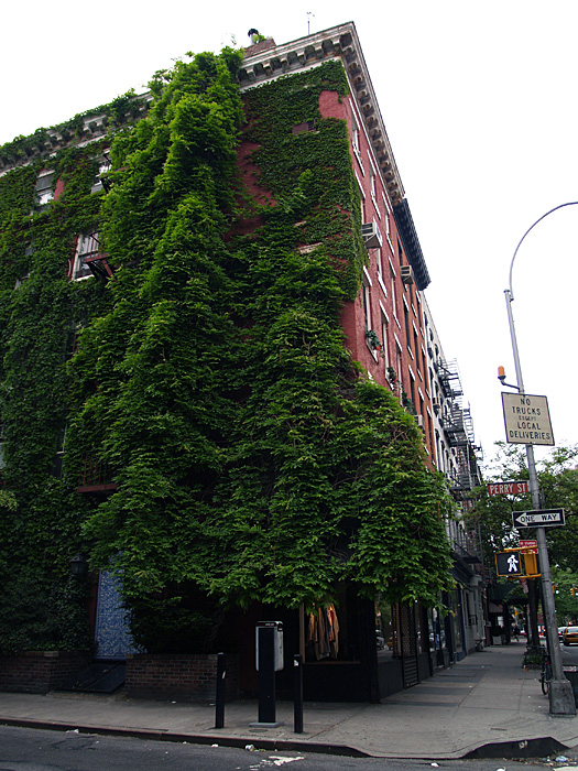 c0039630_12113781.jpg